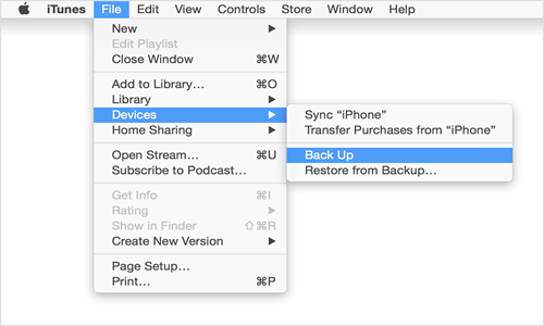 backup your data on iTunes